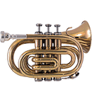 RS Berkeley PT624 Elite Series Pocket Trumpet