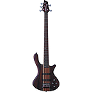Washburn T25 5-string Electric Bass Guitar - with gig bag