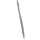 Roy Benson Flute Outfit