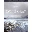 David Gray - Life in Slow Motion