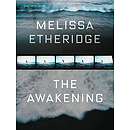 Melissa Etheridge - The Awakening