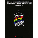 Joseph and the Amazing Technicolor Dreamcoat