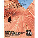Pink Floyd - The Black Strat