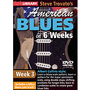 Steve Trovato's American Blues in 6 Weeks (DVD)