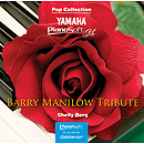 Barry Manilow Tribute
