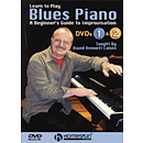Learn to Play Blues Piano (DVD)
