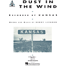 Dust in the Wind