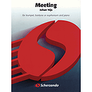Meeting