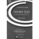 Winter Sun