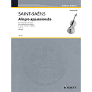 Allegro Appassionato in B Minor, Op. 43