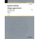 Allegro appassionato