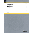 Argoru Va for Bass Clarinet