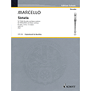 Sonata For Treble Recorder And Basso Continuo Op 2 No 7