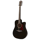 Hohner Chorus Series CD65CE Acoustic-Electric Guitar, Transparent Black