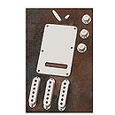 Fender® Stratocaster® Accessory Kit