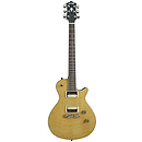 Arbor Select Arched Top Electric Guitar