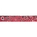 D'Andrea Guitar Strap - Red Bandana