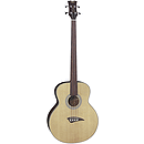 Dean EAB Fretless Acoustic/Electric Bass Guitar