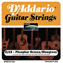 D'Addario Phosphor Bronze Acoustic Guitar Strings - Bluegrass - Box of 10 sets