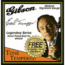 Gibson Earl Scruggs 5-string Banjo Strings - Light - 3 sets of strings
