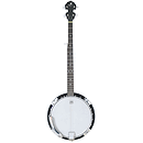 J. Reynolds JR600 5-String Banjo