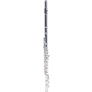 Lauren Beginner Flute Outfit