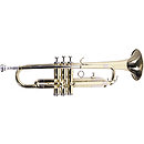 Lauren Beginner Trumpet Outfit