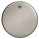 Renaissance Ambassador Bass Drum Head - 22