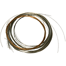 Dilruba Strings
