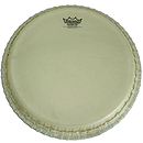 Remo Conga Drumhead, 12 1/2", Nuskyn