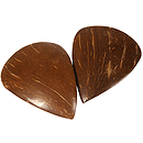 Sarod Pick, Professional 2 Pack, Sardar 
