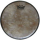 Remo SKYNDEEP Doumbek Head, 8 23/32"