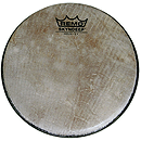 Remo SKYNDEEP Head, 3/4" Deep X 8"
