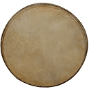 Goatskin Head for Doumbek, 10"