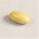 Egg Bead, Plastic, Large, 2 Pack