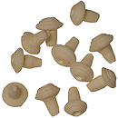 Sitar Tuning Peg Nibs, Flat, Pack of 11