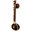 Sitar, Professional, Sardar