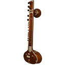 Sitar, Standard, Light Padded Nylon Case