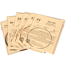 Sitar String Set, Pro, Standard, Batish