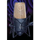 CAD E300 Multi-pattern Condenser Microphone
