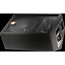 JBL JRX112M 12" Two-Way Stage Monitor