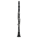 RS Berkeley University Series Beginner Clarinet Outfit