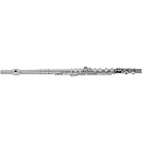 RS Berkeley University Series Beginner Flute Outfit