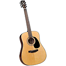 Bristol by Blueridge BD-16 Dreadnought Acoustic Guitar
