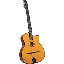 Gitane DG-310 Modele Lulo Reinhardt Django Jazz Guitar