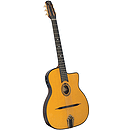 Gitane DG-455 Acoustic/Electric Selmer Style Jazz Guitar Outfit