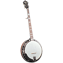 Gold Star GF-200 Banjo - Hearts & Flowers Inlays