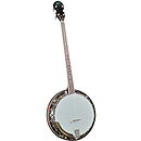 Rover RB-45P Resonator Plectrum Banjo