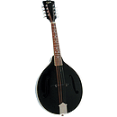 Rover RM-35BS Solid Top A-model Mandolin - Glossy Black