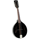 Rover RM-50B All Solid A-model Mandolin - Glossy Black